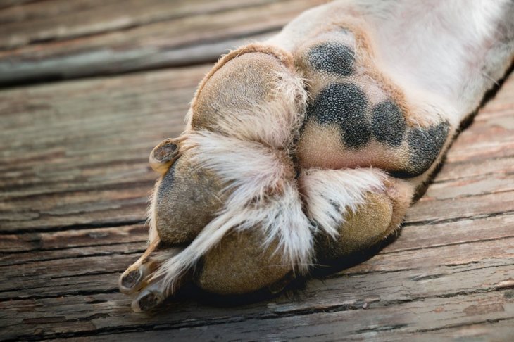 Source : Shutterstock Source : Shutterstock