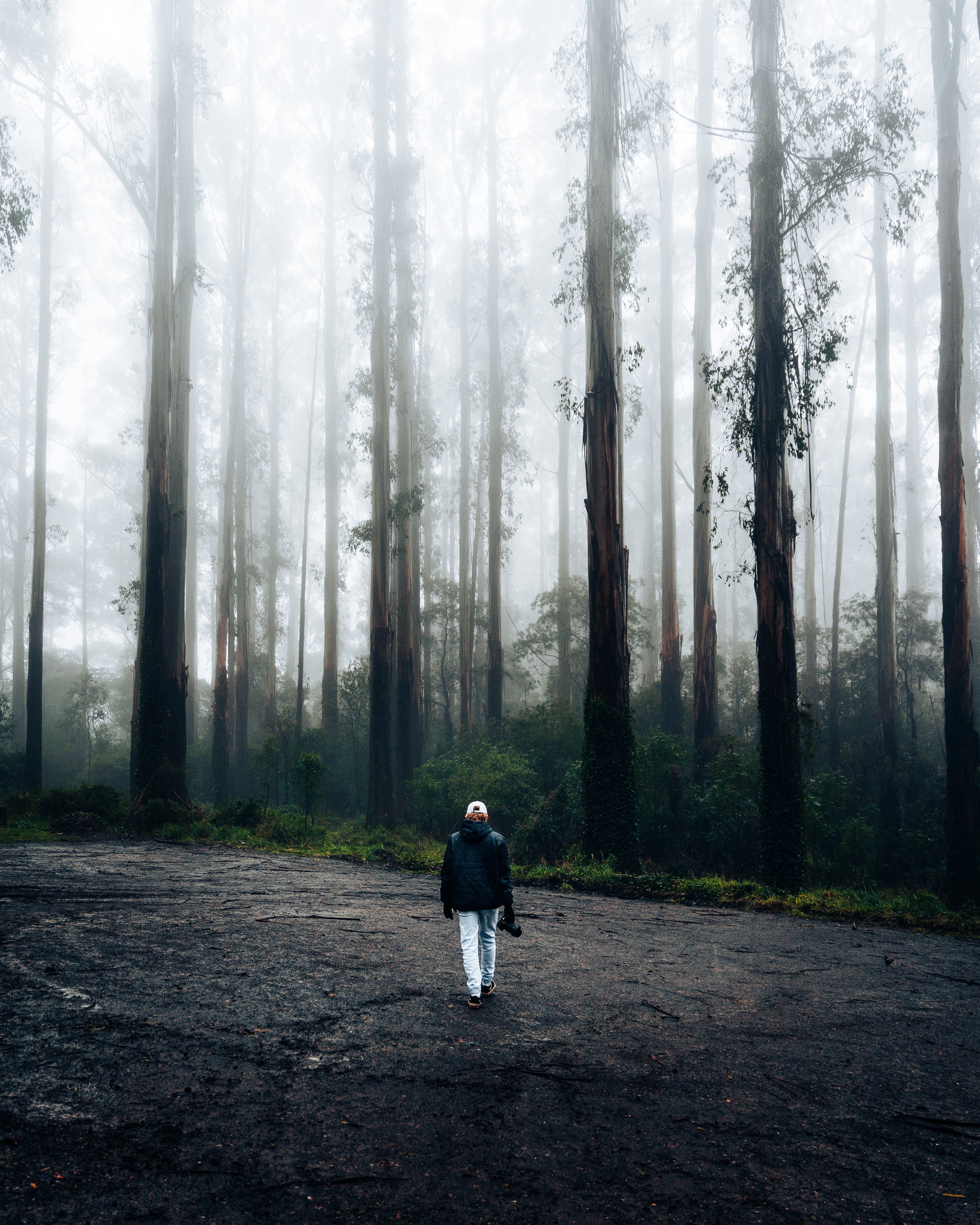 A person walking toward the forest. | Pexels/ Oskar Smethurst