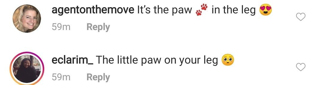 Fan's reactions to Rebel Wilson's new puppy friend. | Photo: Instagram/Rebelwilson
