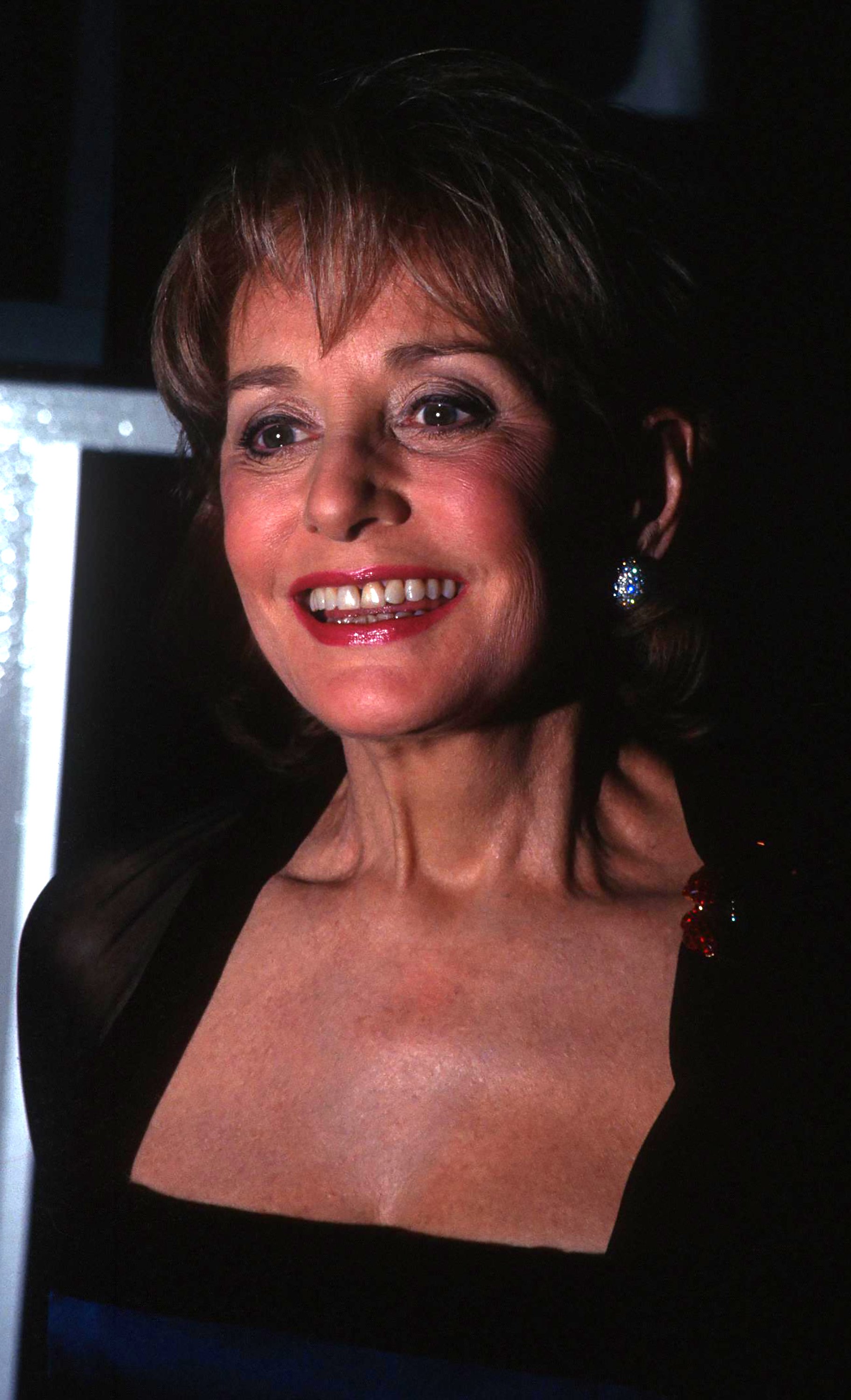 Barbara Walters attends the Museum of Television and Radio Gala Honoring Alan Alda and Barbara Walters at the Waldorf Astoria Hotel on February 8, 1996 in New York City. ┃Source: Getty Images
