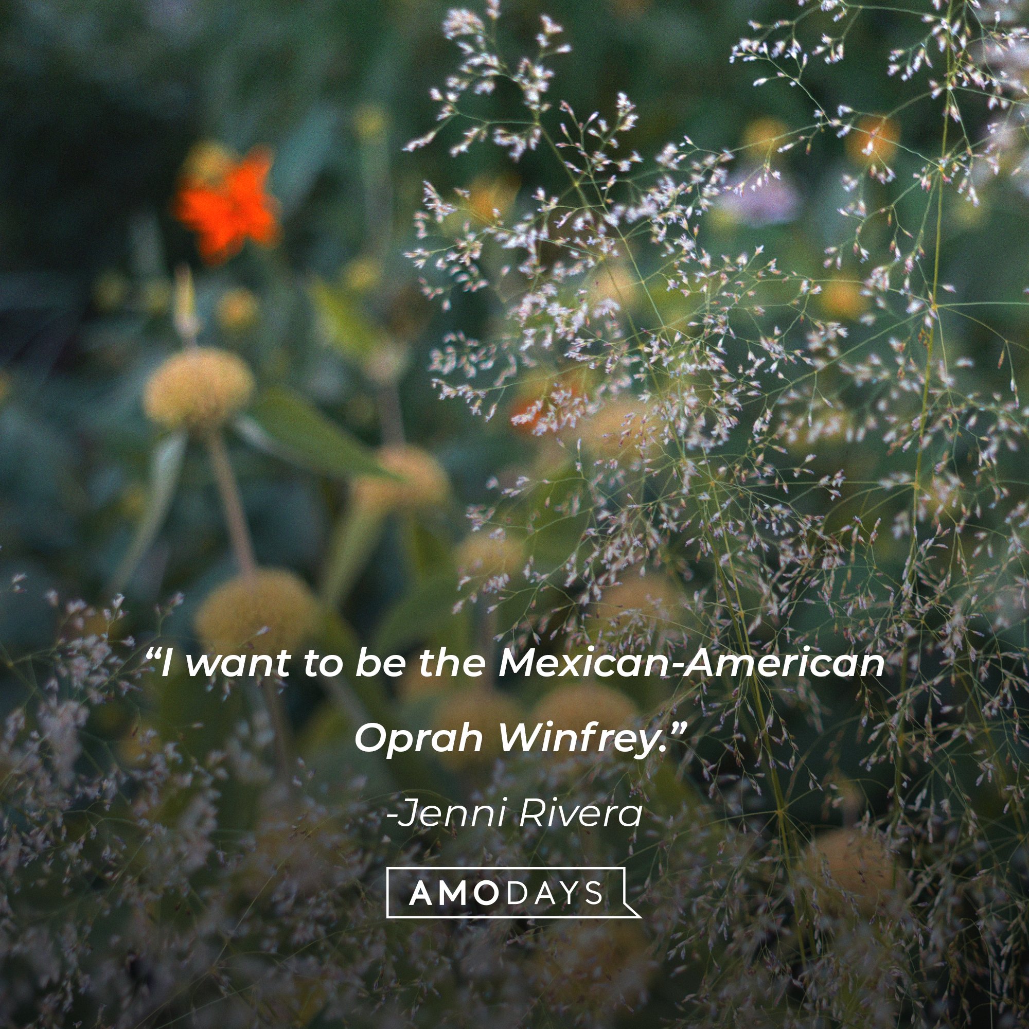 Jenni Rivera’s quote: "I want to be the Mexican-American Oprah Winfrey.” | Image: AmoDays