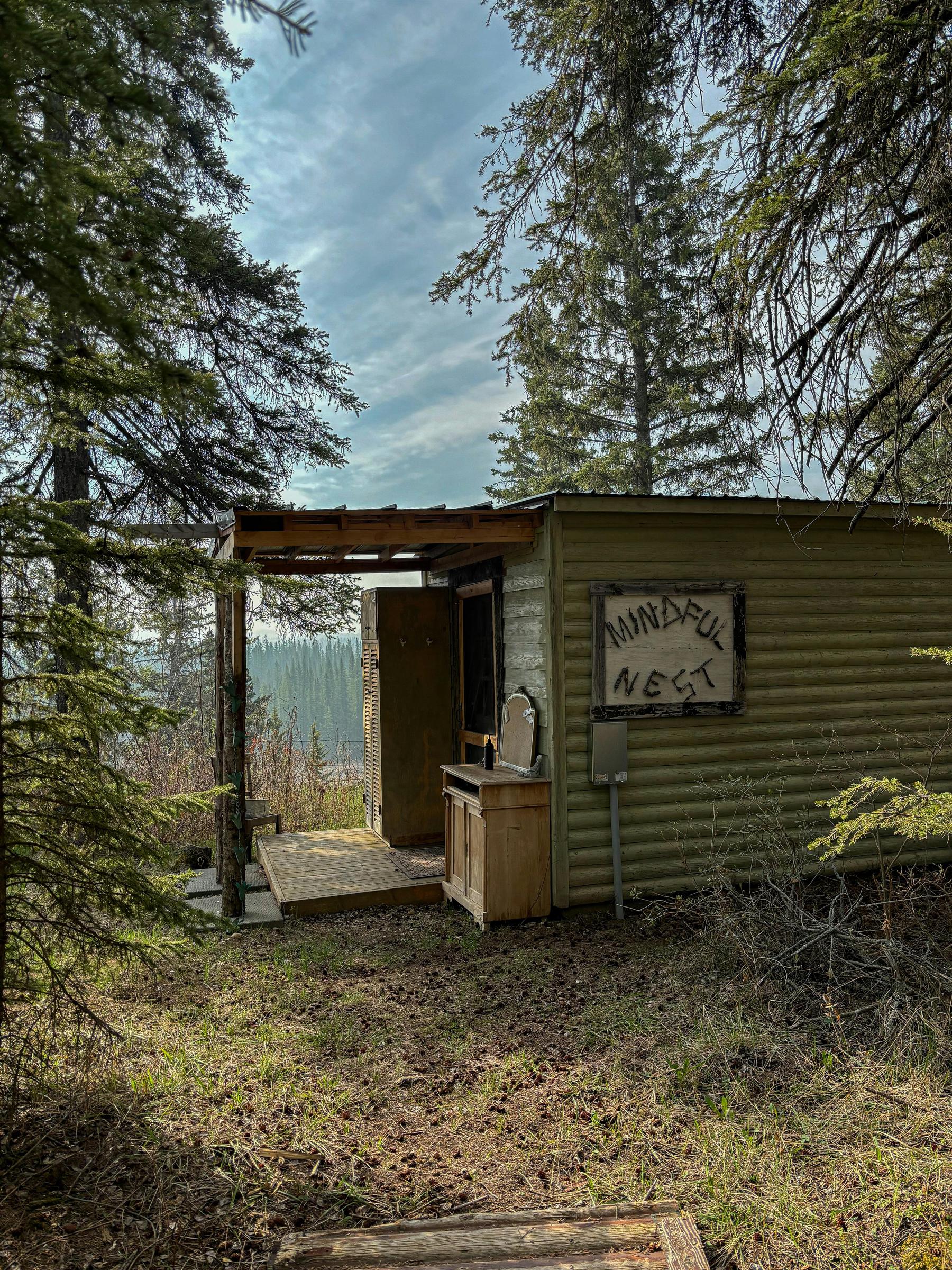 A shack in the woods | Source: Pexels