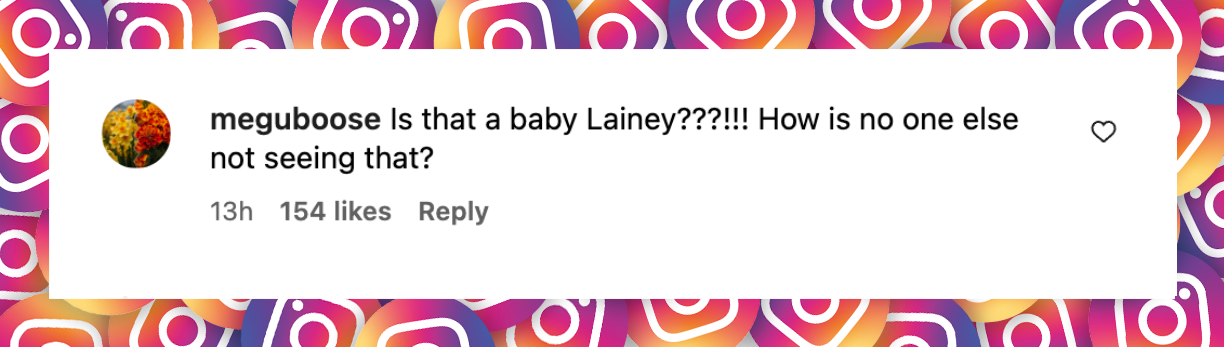 A fan comment on Lainey Wilson's post dated March 20, 2025 | Source: Instagram/laineywilson