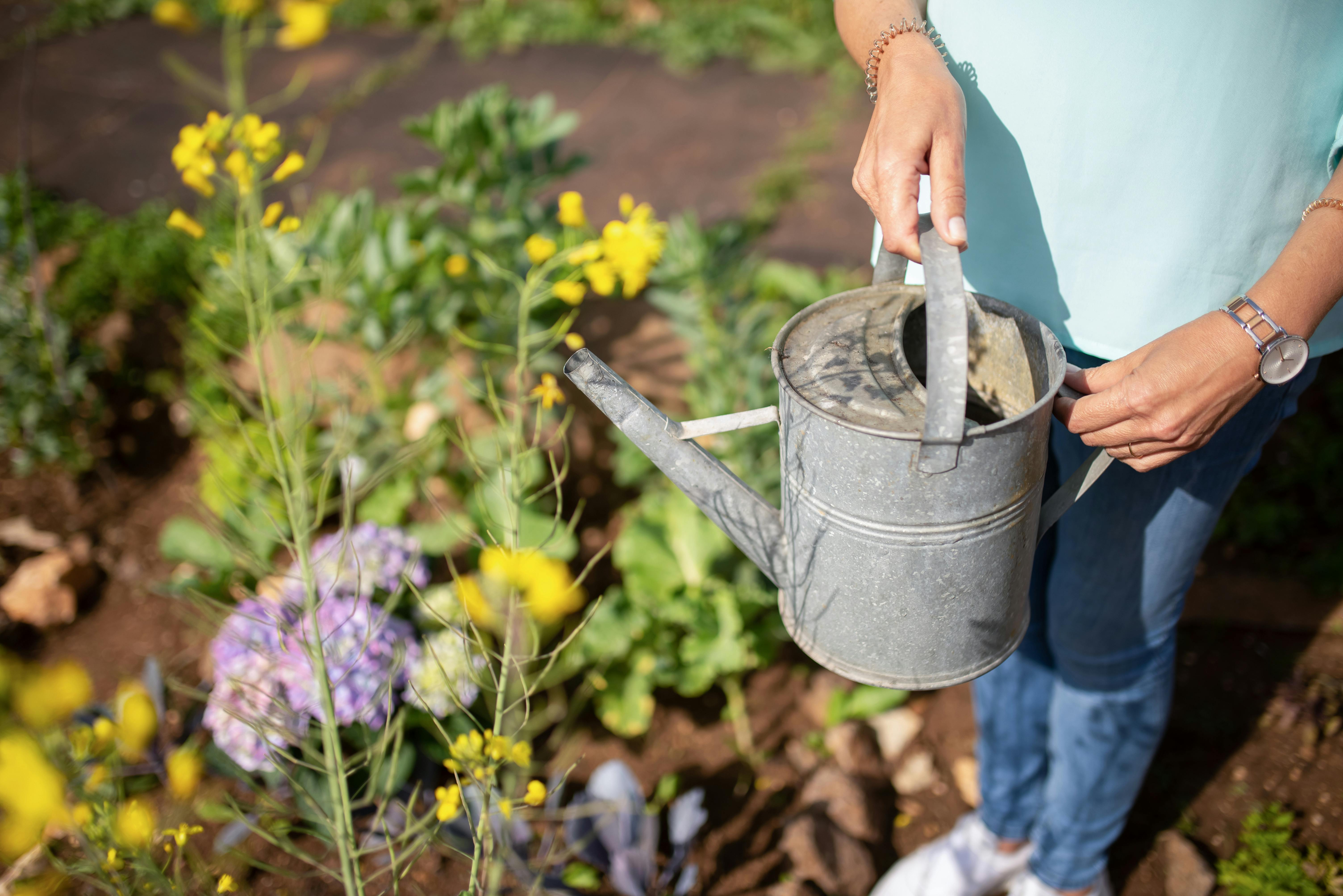 A woman watering her plants | Source: Pexels