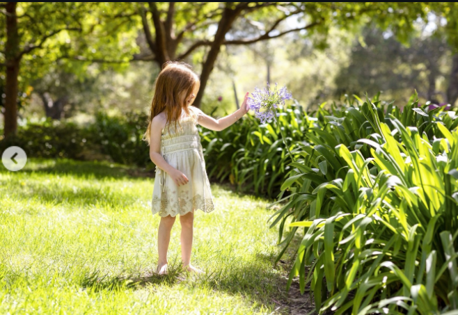 Princess Lilibet explores a sunlit garden while reaching toward a cluster of purple flowers, her cream-colored dress and long red hair standing out against the lush greenery. | Source: Instagram/meghan
