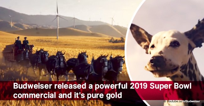 Budweiser released a powerful 2019 Super Bowl commercial and it's pure gold