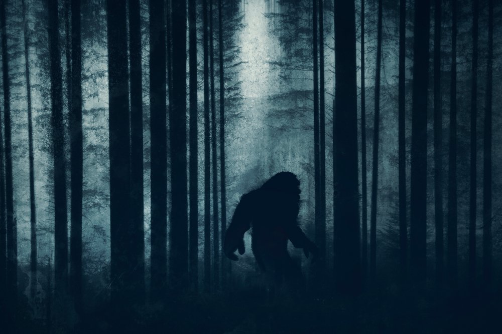 Kreatur im Wald, die wie ein Bigfoot aussieht. | Quelle: Shutterstock