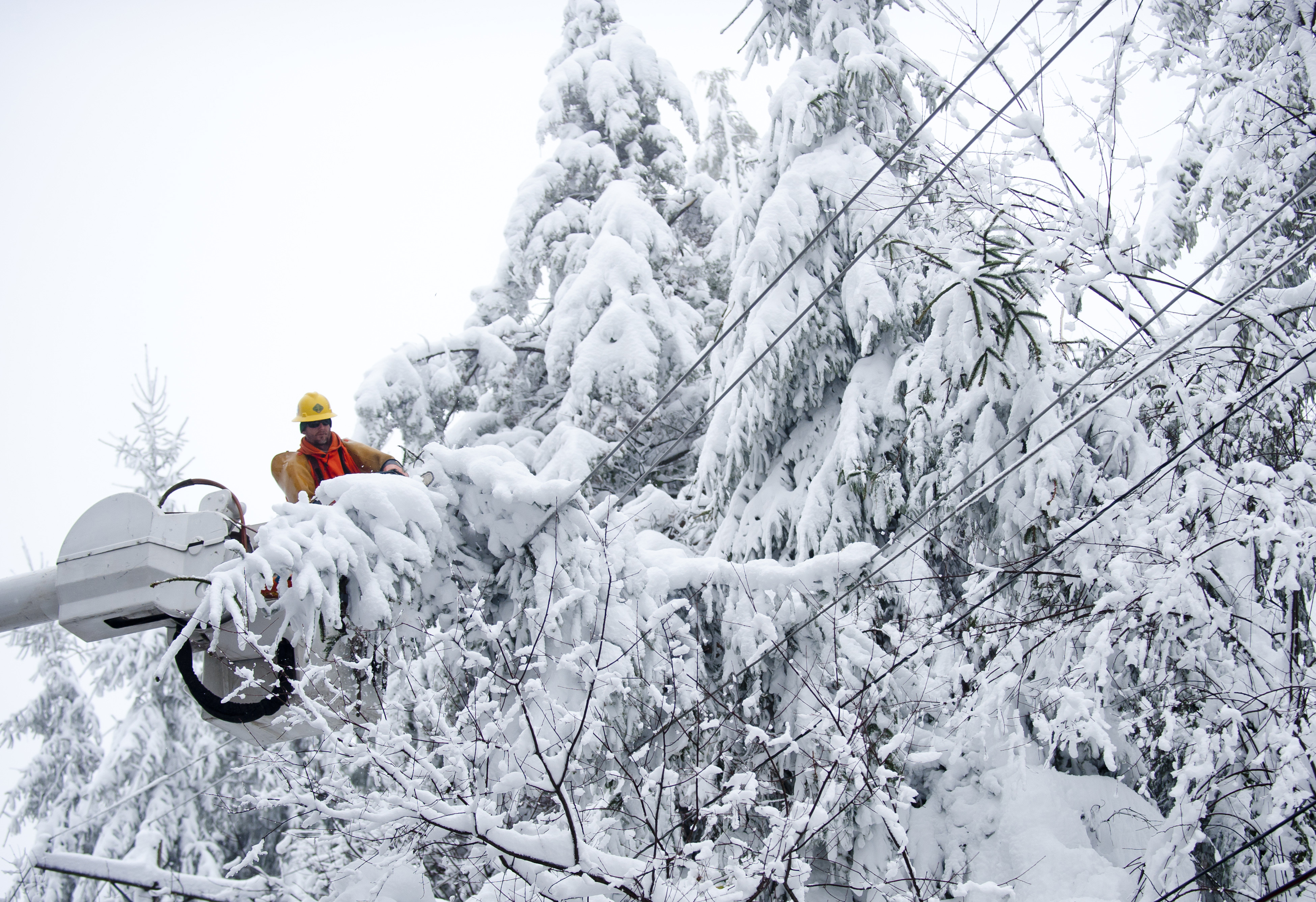 A worker clears snow-laden power lines in Terra Alta, West Virginia, on October 31, 2012 | Source: Getty Images