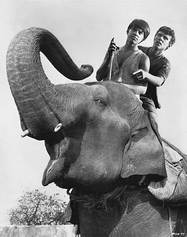 Jay North with Sajid Khan in Maya, 1967. | Source: Wikipedia.