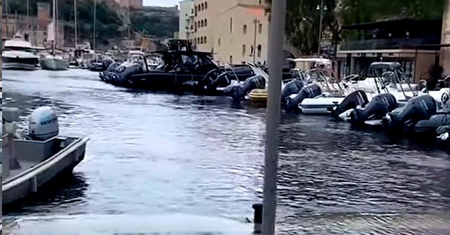 youtube.com/France 3 Corse ViaStella