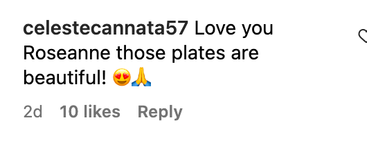 A fan comments on Roseanne Barr's Instagram post | Source: Instagram/@officialroseannebarr