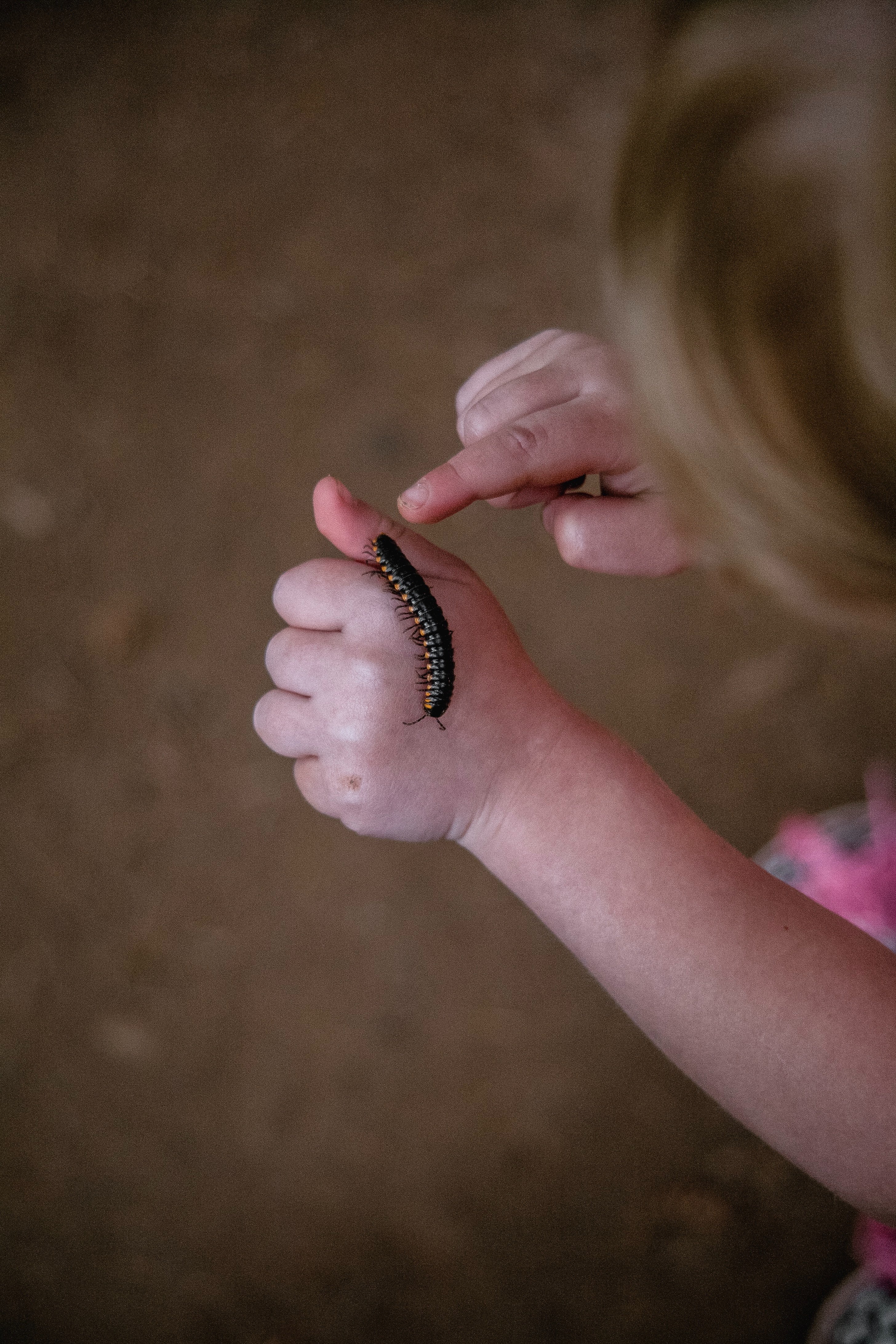 A centipede on a child's hand. | Source: Unsplash