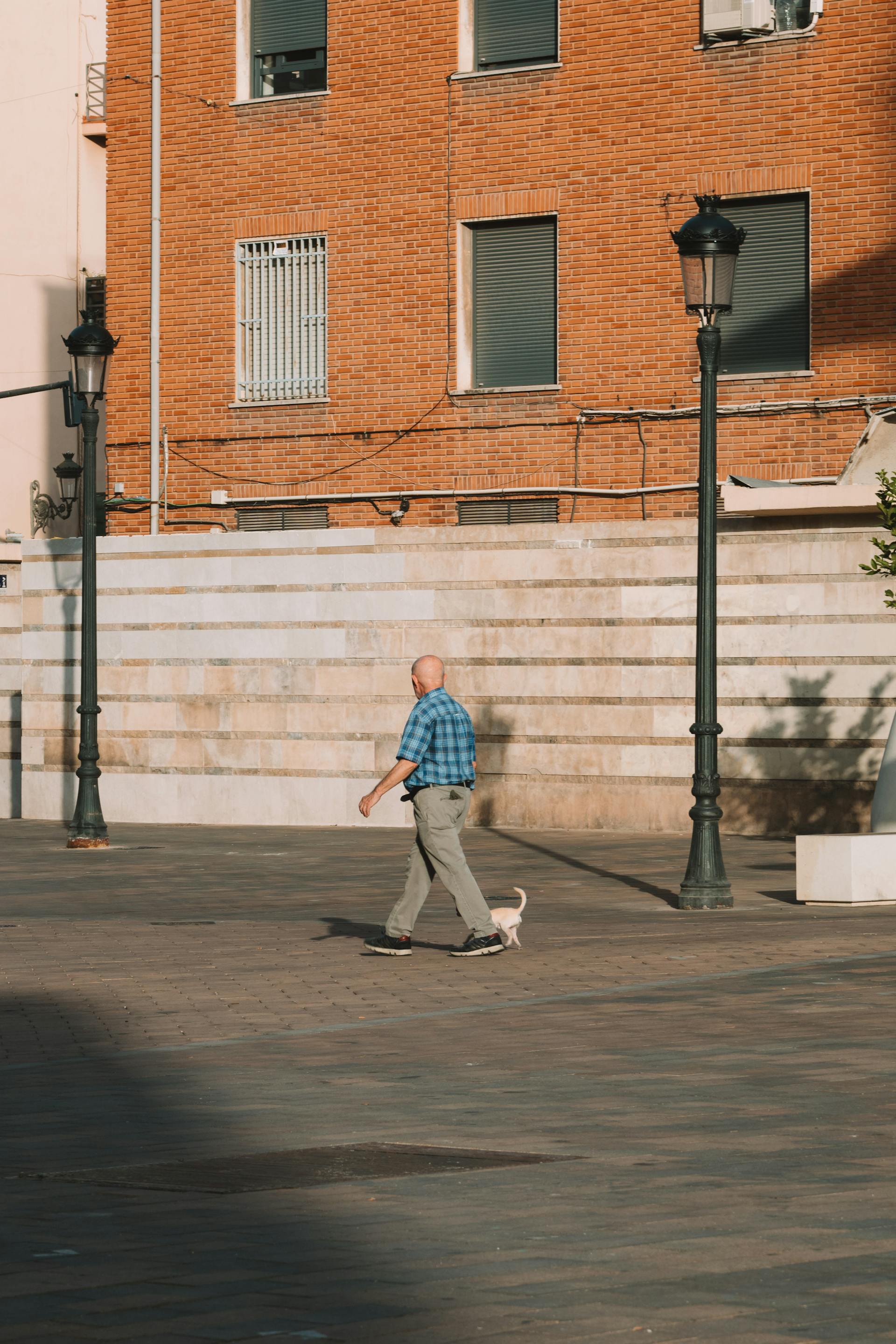 An old man with a dog | Source: Pexels