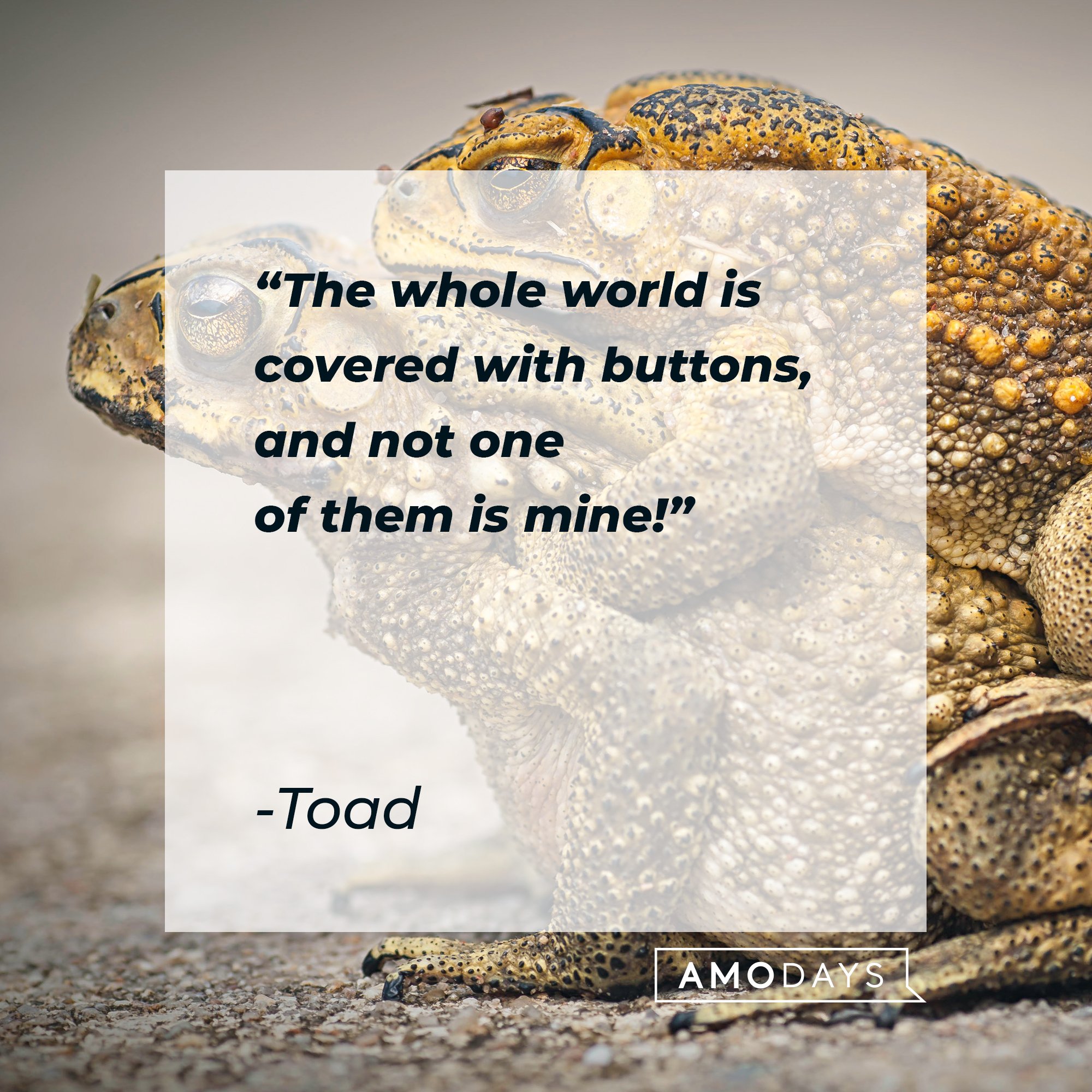  Toad's quote: "The whole world is covered with buttons, and not one of them is mine!" | Image: AmoDays