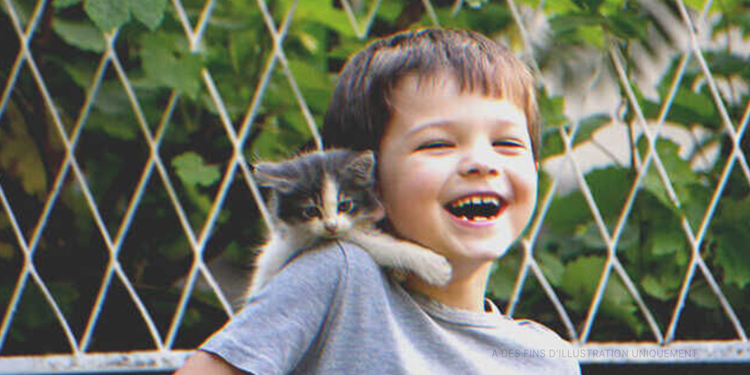 Un petit garçon avec un chaton | Photo : Shutterstock