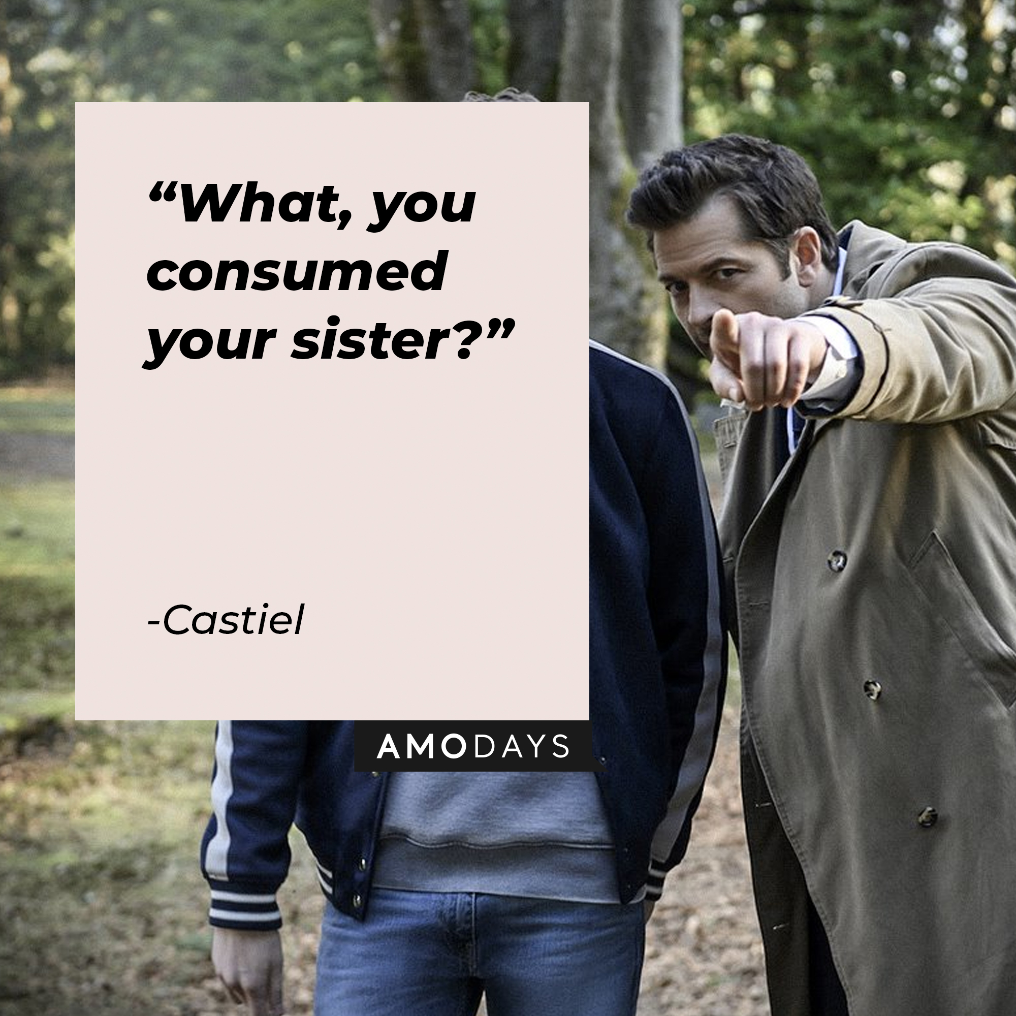 An image of Castiel with his quote: “What, you consumed your sister?” |Source: facebook.com/Supernatural