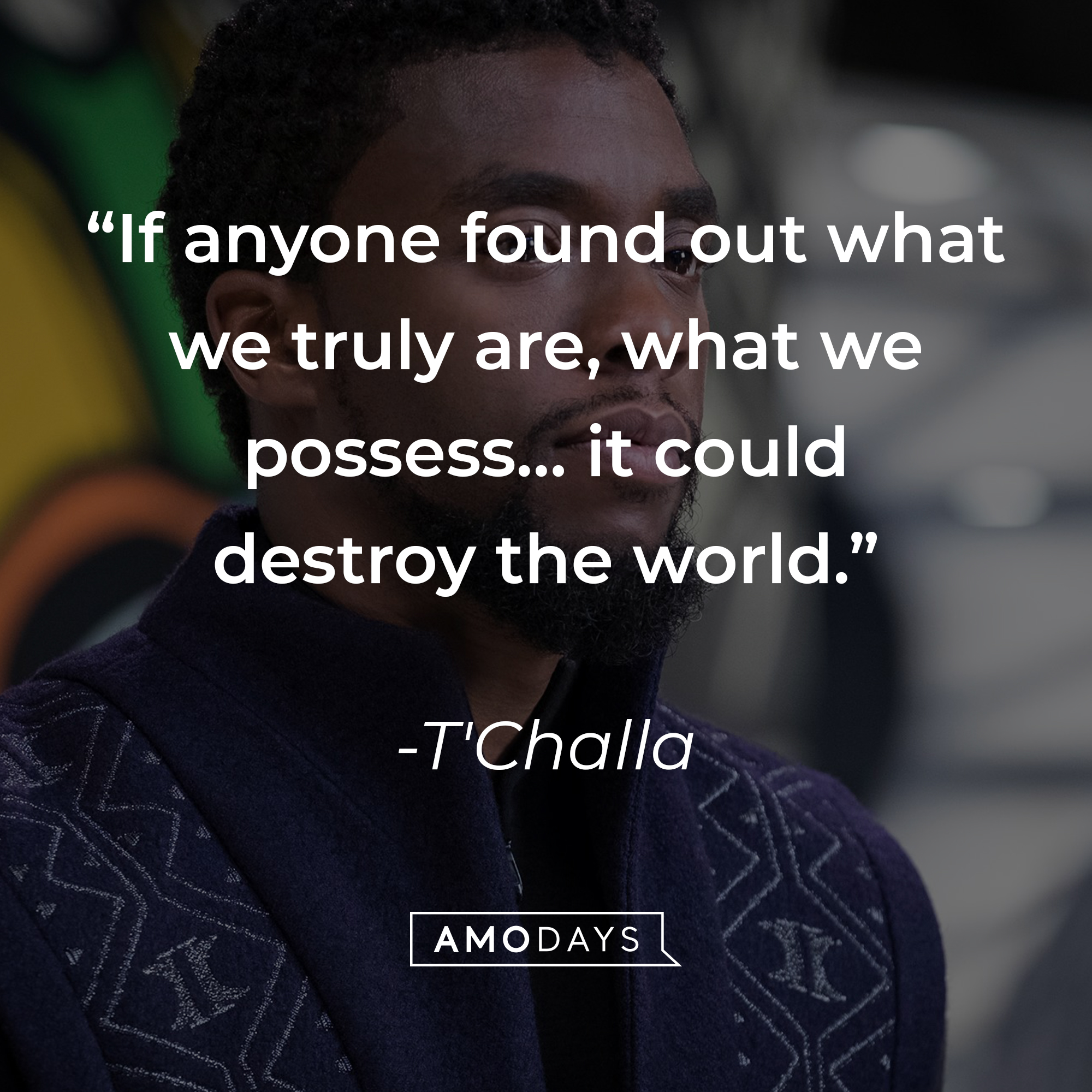 T'Challa's quote: “If anyone found out what we truly are, what we possess… it could destroy the world.” | Source: facebook.com/BlackPantherMovie
