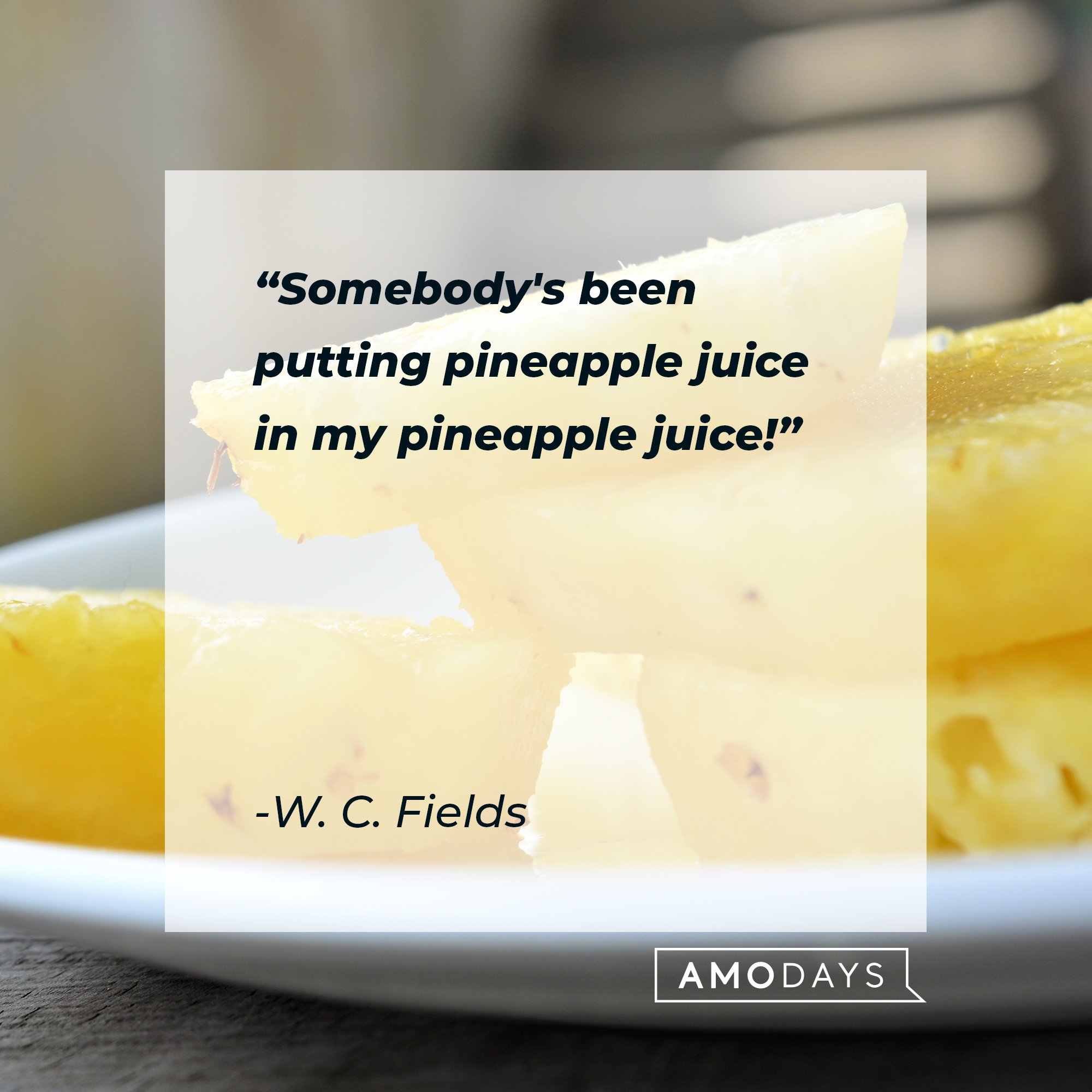 W. C. Fields' quote: "Somebody's been putting pineapple juice in my pineapple juice!" | Image: AmoDays