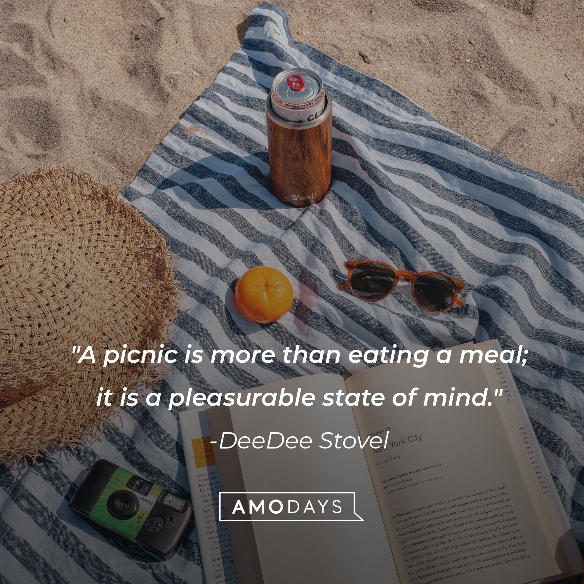 DeeDee Stovel's quote: "A picnic is more than eating a meal; it is a pleasurable state of mind." | Image: AmoDays