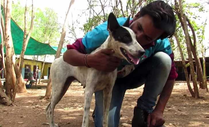 Quelle: Youtube/ Animal Aid Unlimited, India Quelle: Youtube/ Animal Aid Unlimited, India