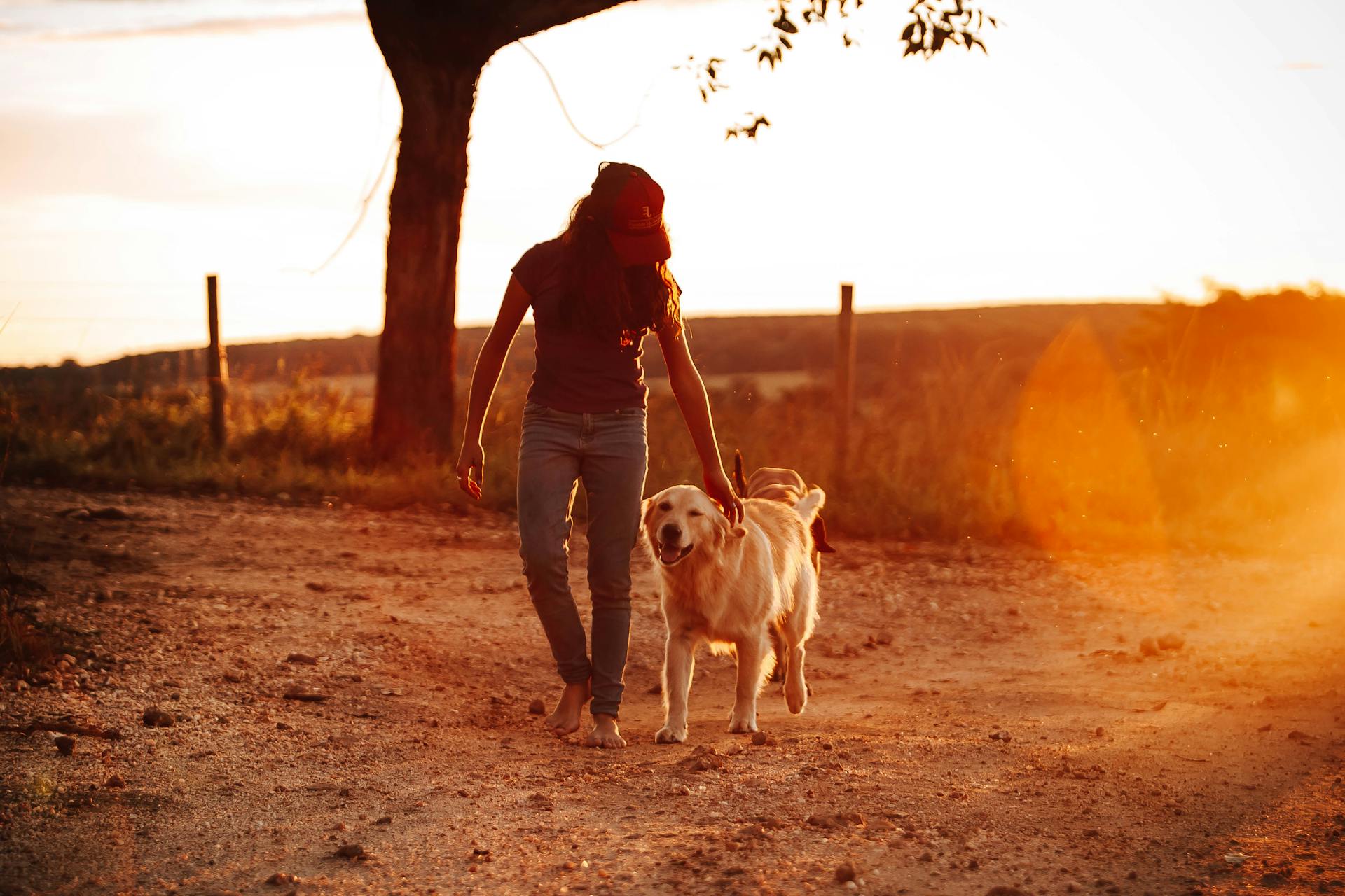 A woman with her dog | Source: Pexels