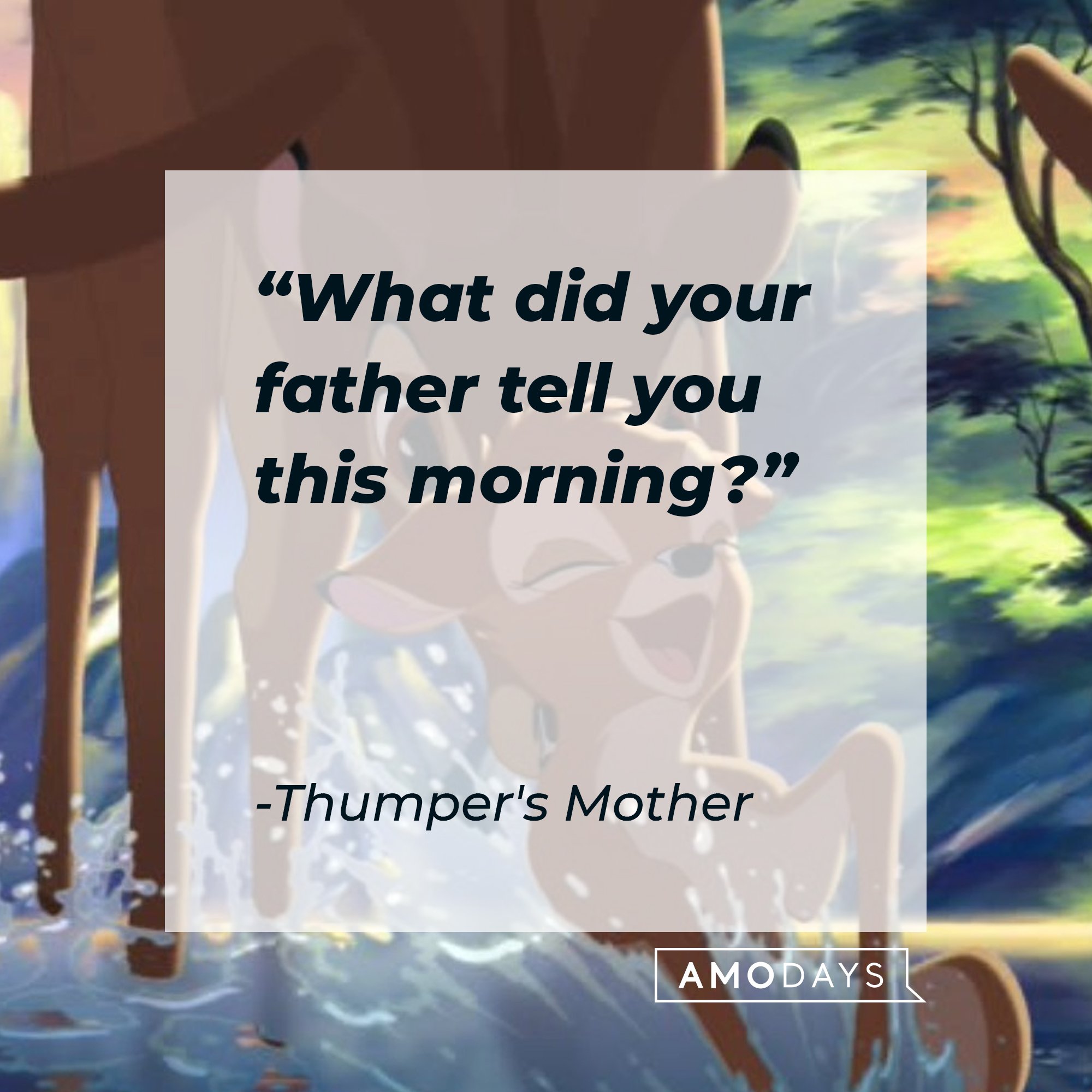 Thumper's Mother's quote "What did your father tell you this morning?" | Source: facebook.com/DisneyBambi