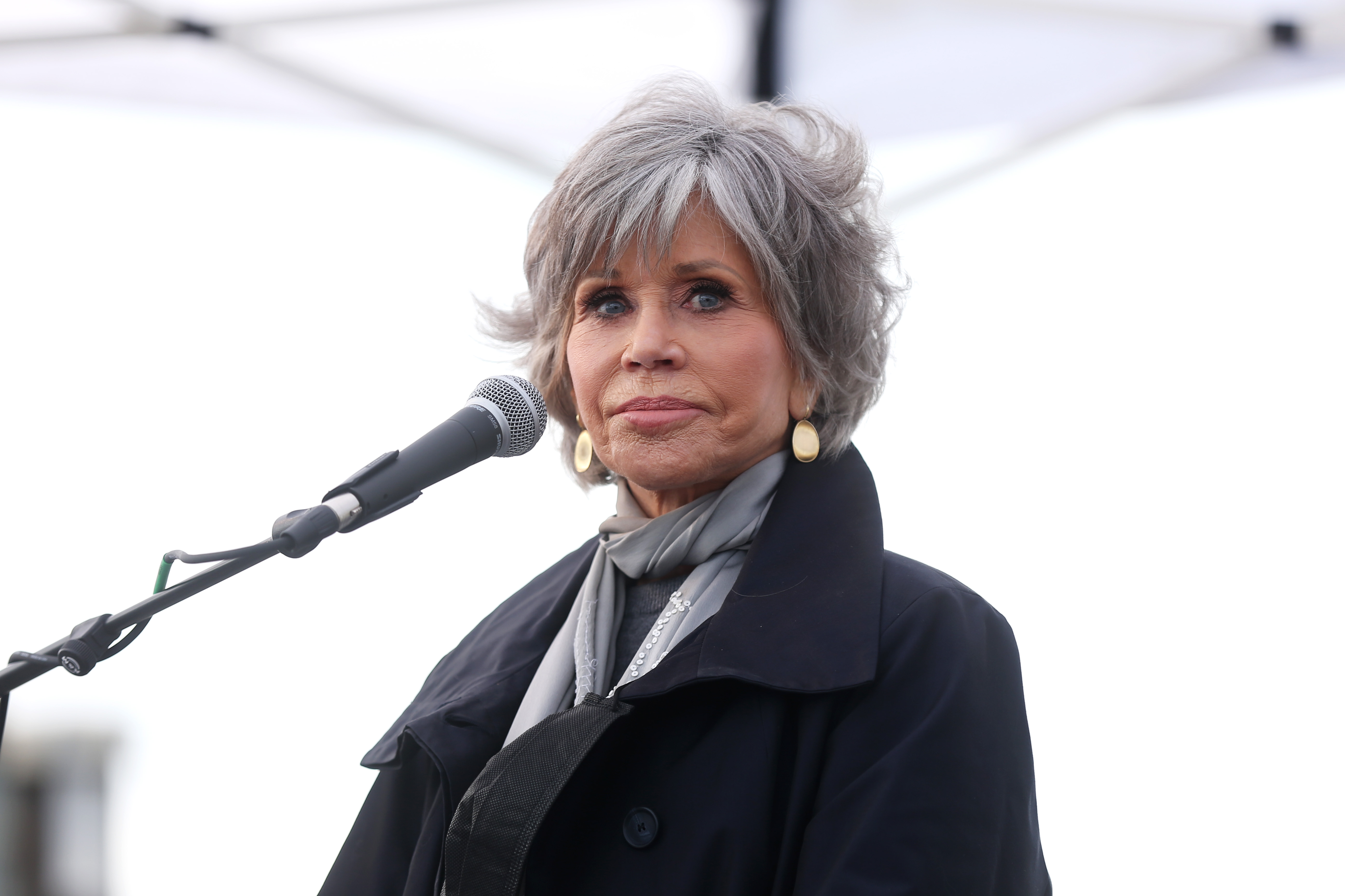 Jane Fonda joins "Social Compassion in Legislation" on October 18, 2021 in Laguna Beach, California | Source: Getty Images