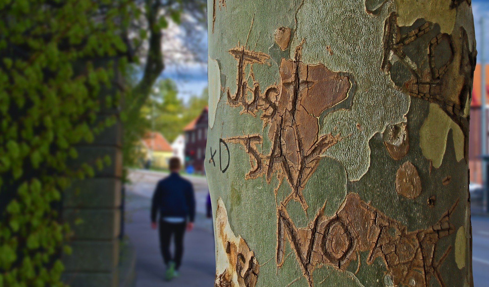 A tree with words carved into its trunk. | Source: Pixabay.