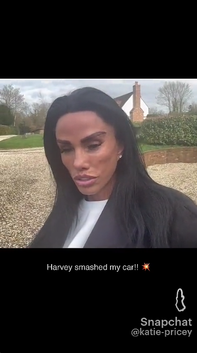 A screengrab of Katie Price's video, posted on 11 March 2026. | Source: Snapchat/Katie Price