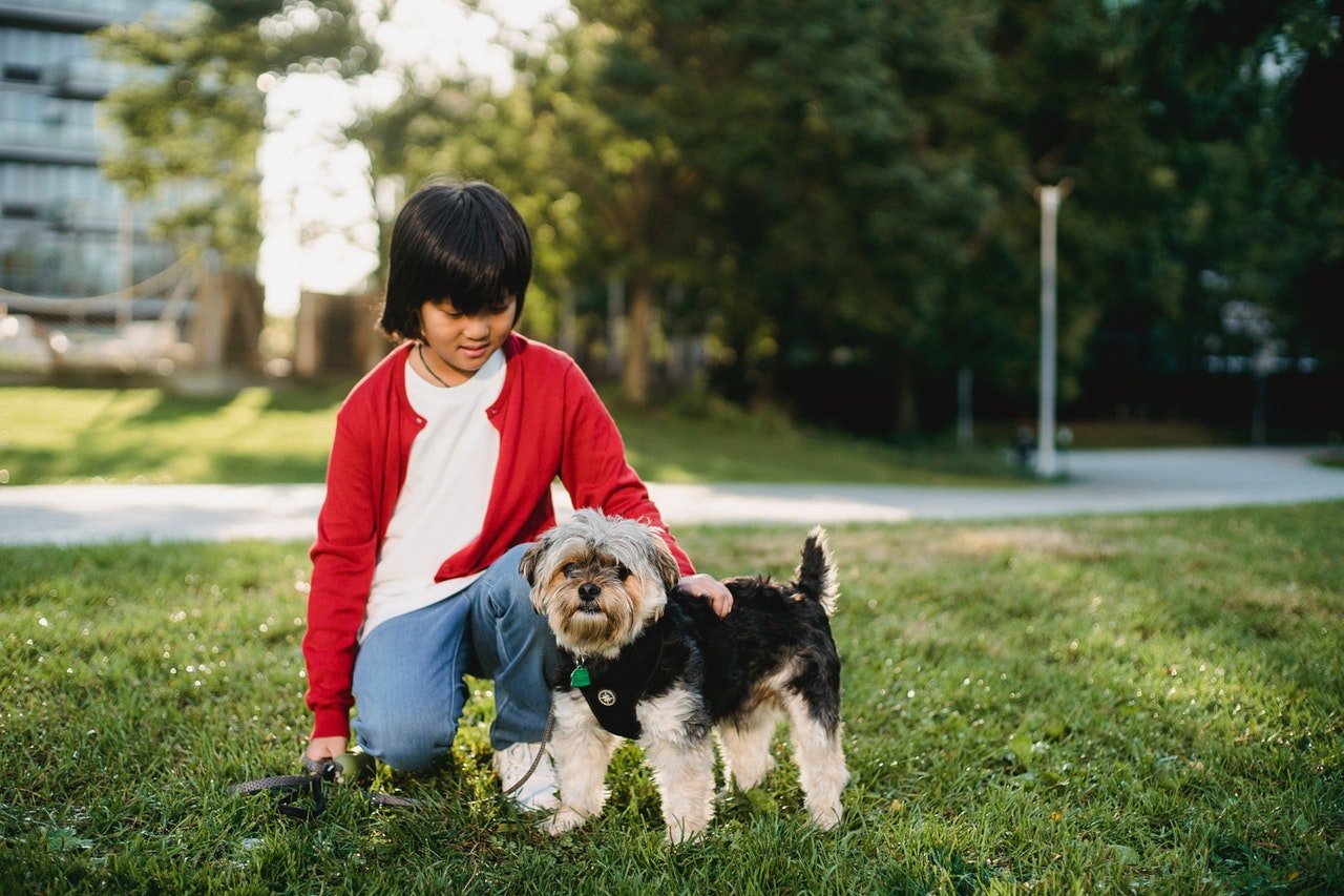 She returned without the dog | Photo: Pexels