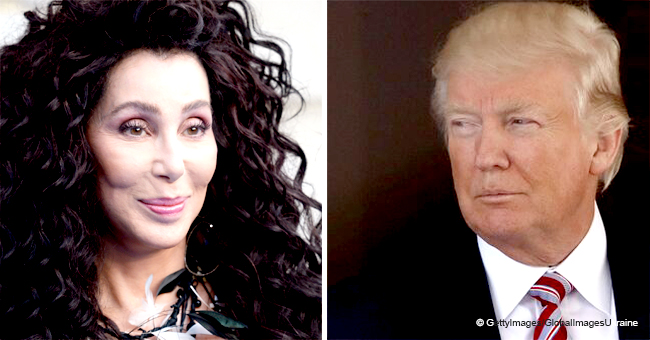 Cher Calls Trump an 'Ignorant Thug with Lizard Brain' after He Supported Her Immigration Stance