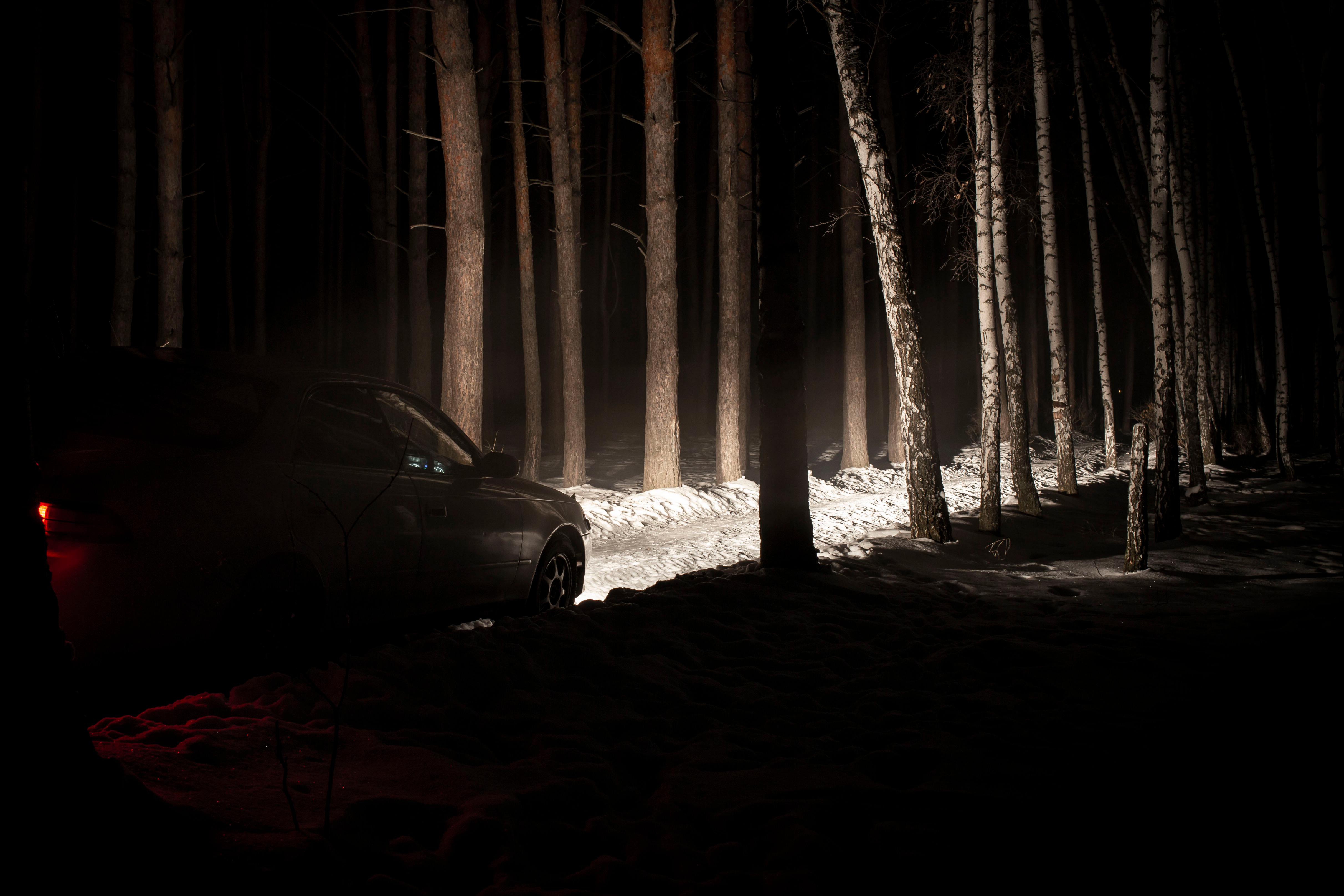 Car in forest at night. | Source: Shutterstock