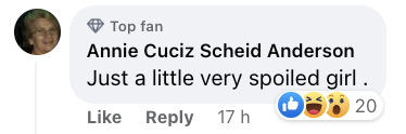 A comment left on a Facebook post about Harper Beckham's Goyard handbag in August 2023 | Source: facebook.com/DailyMail