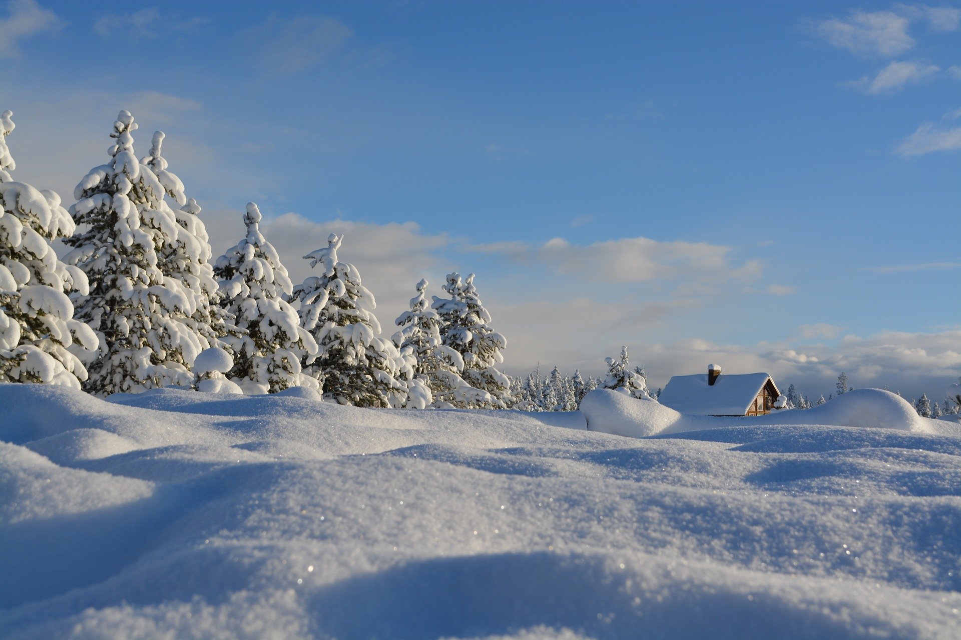 Snow trees and snow covered house | Source: Pixabay