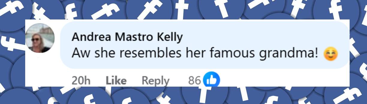 A fan comment dated August 4, 2025 | Source: Facebook/E!News