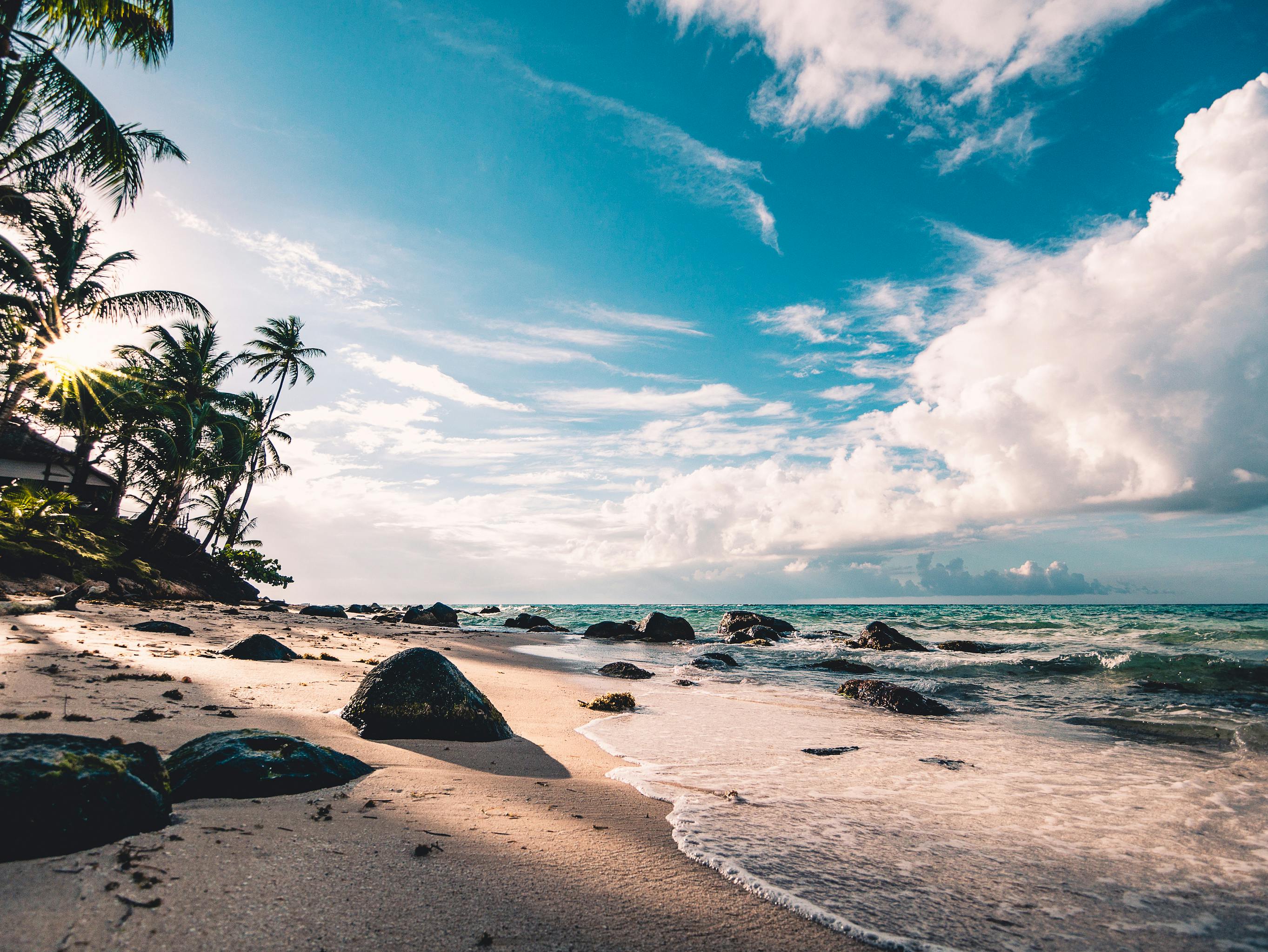 A sunny beach | Source: Pexels