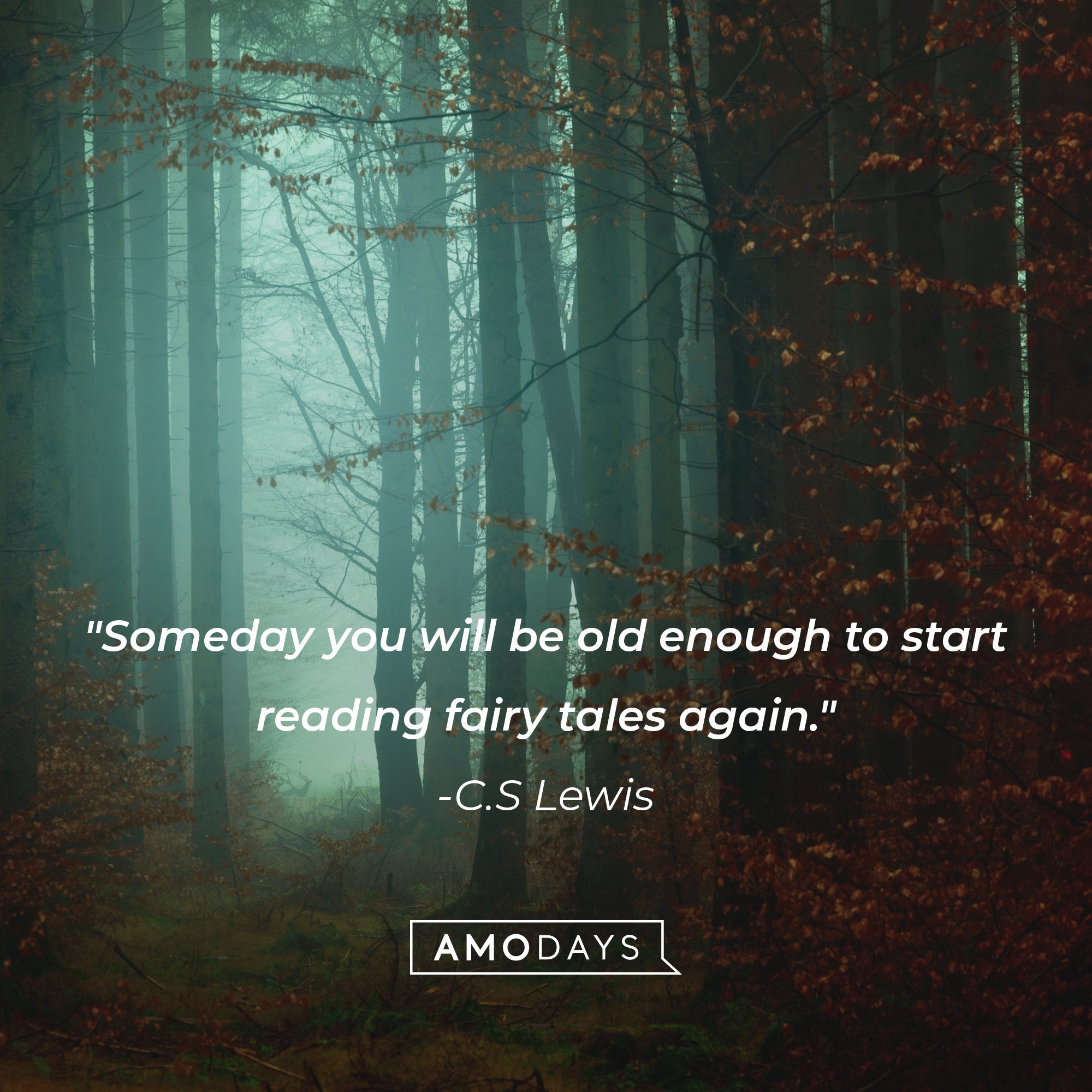 C.S. Lewis' quote: "Someday you will be old enough to start reading fairy tales again." | Image: Amo Days