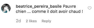 Un abonn accuse Loana de maltraiter son chien, jeudi 26 juin . | Instagram/loana_karesdanje