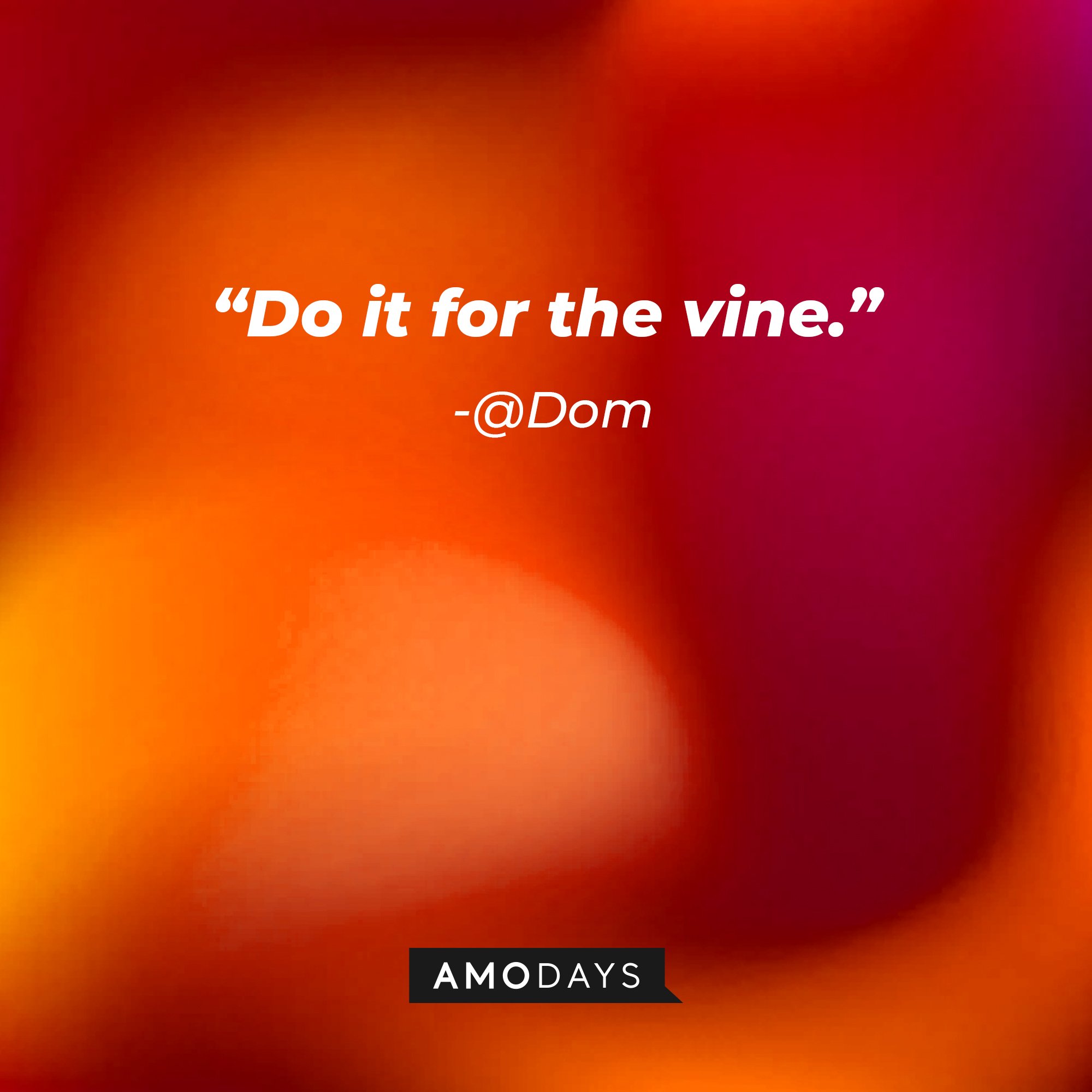 @Dom's quote: “Do it for the vine.” | Image: AmoDays