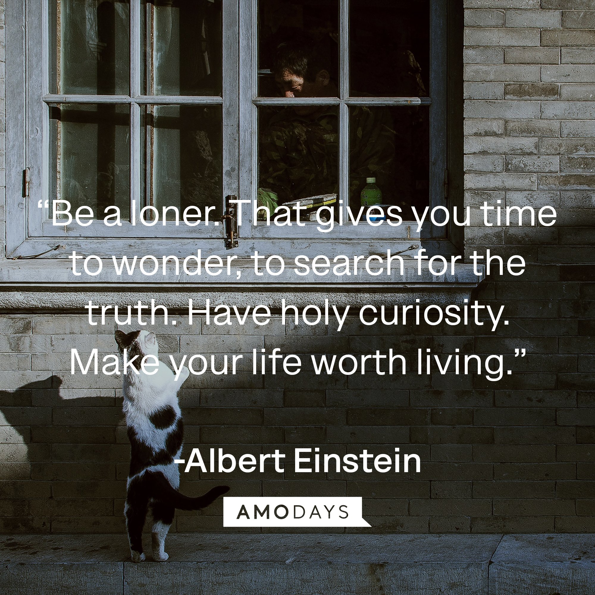  Albert Einstein's quote: “Be a loner. That gives you time to wonder, to search for the truth. Have holy curiosity. Make your life worth living.” | Image: AmoDays