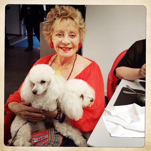 Celebrities at the 8th French Speaking Film Festival in Angouleme; The singer and actress Annie Cordy with her two dogs Fleecy and Fluffy in Angouleme on August 28, 2015. | photo : Getty Images) Celebrities at the 8th French Speaking Film Festival in Angouleme; The singer and actress Annie Cordy with her two dogs Fleecy and Fluffy in Angouleme on August 28, 2015. | photo : Getty Images)