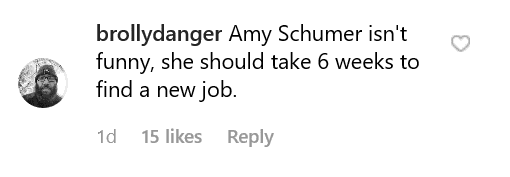 Fan's comment on Amy Schumer's photo. | Source: Instagram/amyschumer