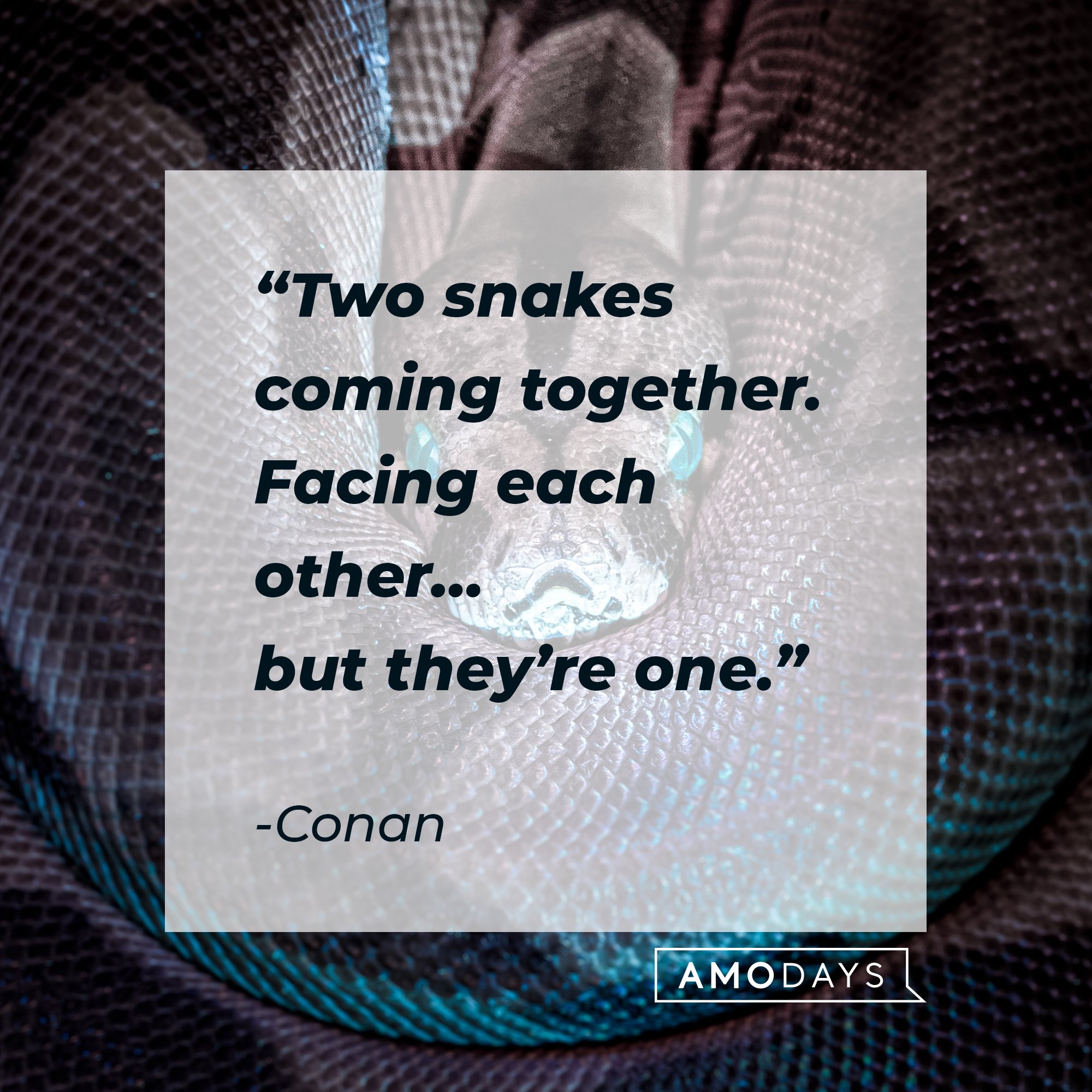  Conan's quote: “Two snakes coming together. Facing each other… but they’re one.” | Image; AmoDays