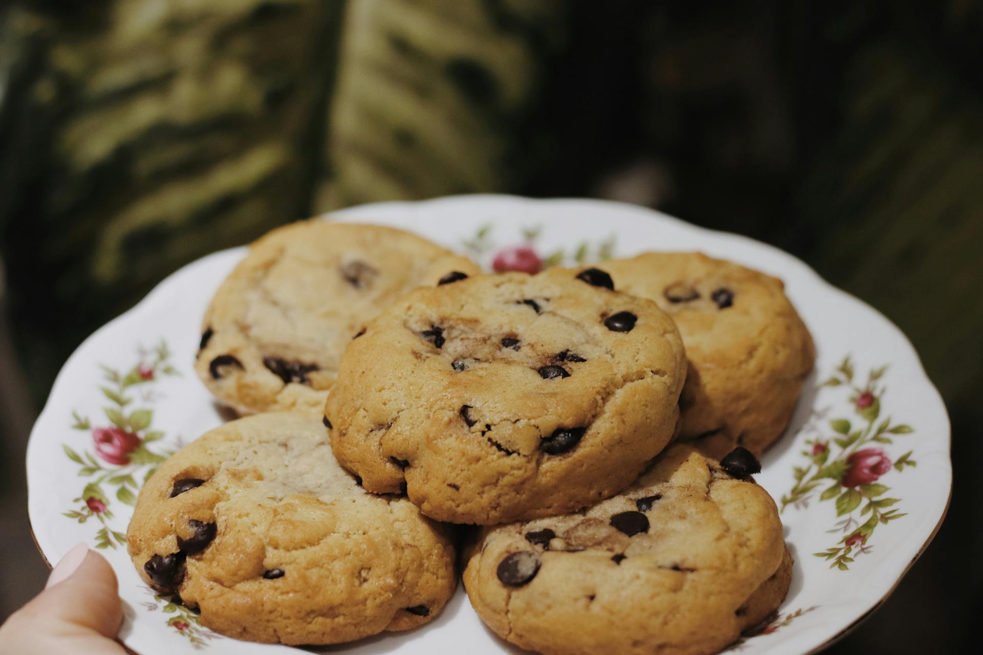 Cookies on a plate | Source: Pexels
