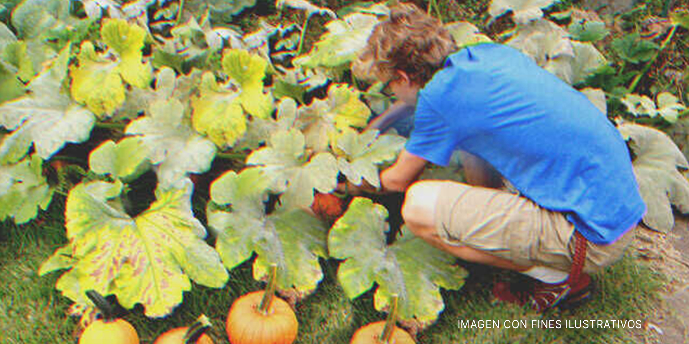 Chico en un jardín | Foto: Shutterstock