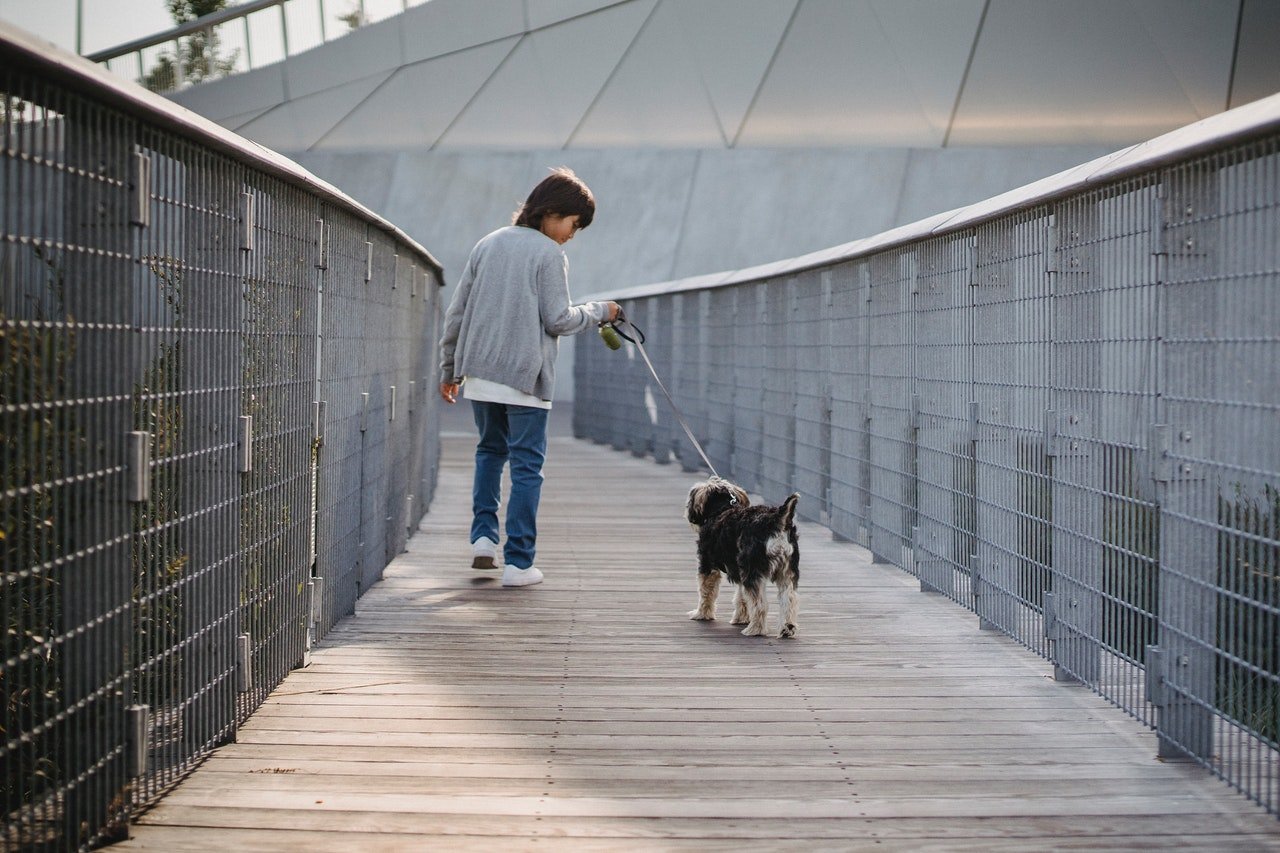 Niño paseando a su perro. | Foto: Pexels