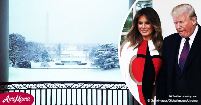 It seems Melania taught Donald how to share photos on Twitter - and look what they've achieved!