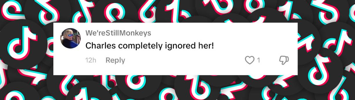 A fan comment dated December 3, 2024 | Source:Tiktok/@hellomag