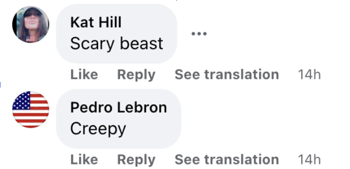 A comment left on a picture of Maria Shriver and her granddaughter | Source: facebook.com/NYPost