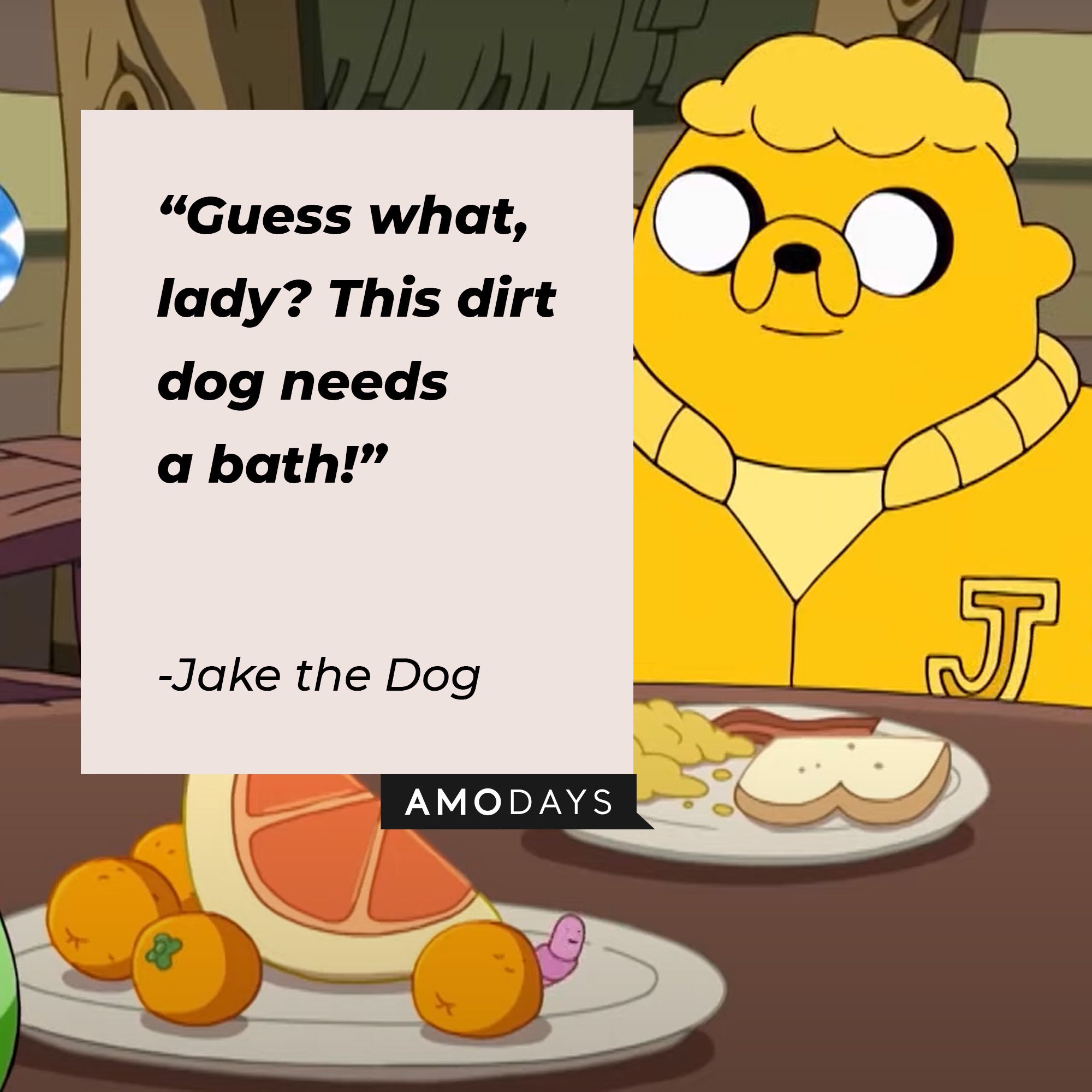 Jake the Dog's quote: “Guess what, lady? This dirt dog needs a bath!” | Image: AmoDays